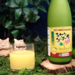 バカ売れしている沖縄のシークヮーサージュース飲んでみました!